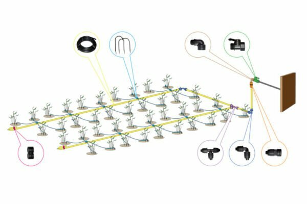 Vita T laistymo sistema